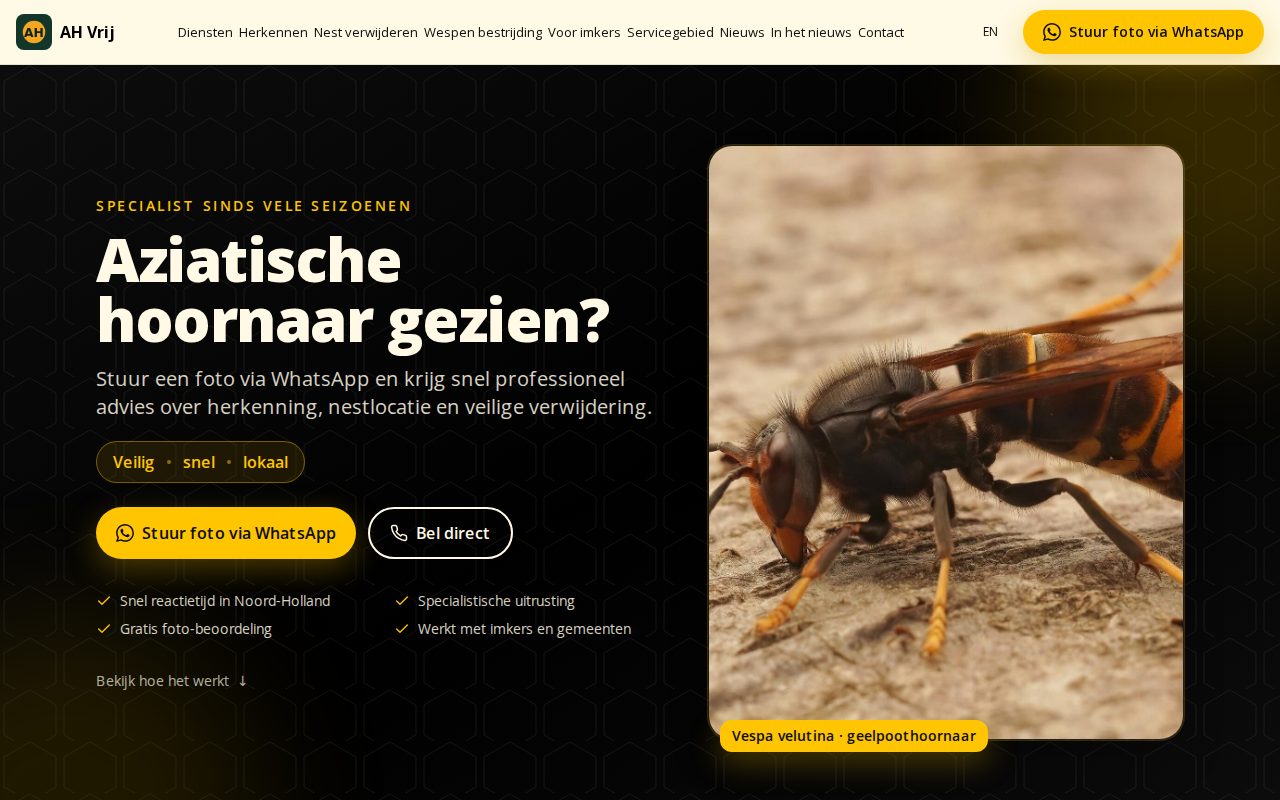 Desktop view of the Aziatische HoornaarVrij homepage: headline asking whether you have seen an Asian hornet, with a photo of the hornet and WhatsApp and phone buttons.