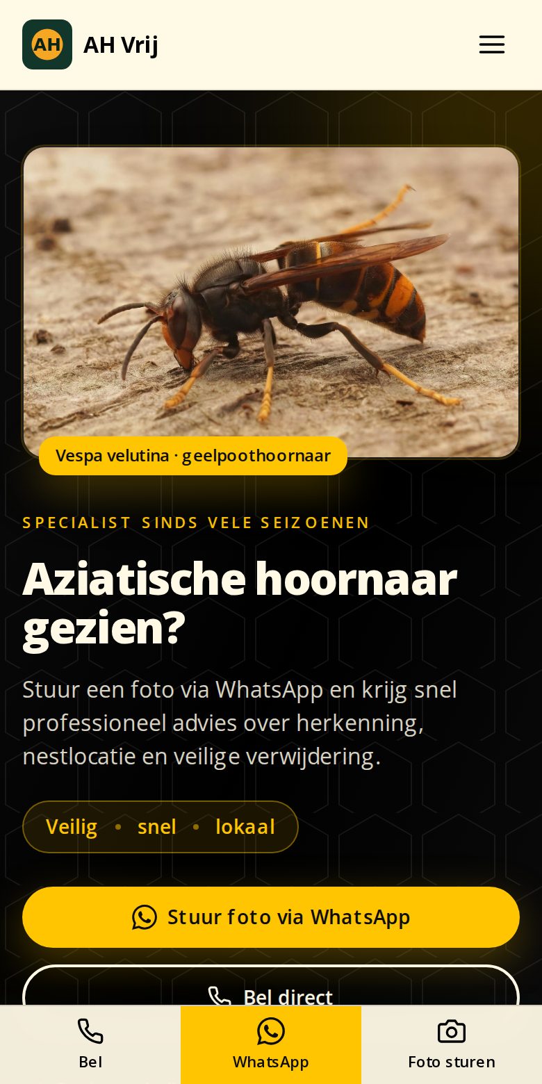 Mobile view of the same homepage, with a bottom bar offering call, WhatsApp and send-photo actions.